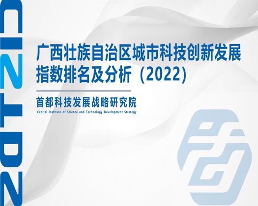 女生骚逼被插出白浆视频网站【成果发布】广西壮族自治区城市科技创新发展指数排名及分析（2022）